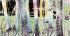 Luxusní vliesová tapeta „Pastel forest”