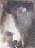 	 Luxusní vliesová tapeta „Gingko“ z kolekce Beton story