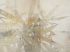 Luxusní vliesová tapeta „Oleander in beige“