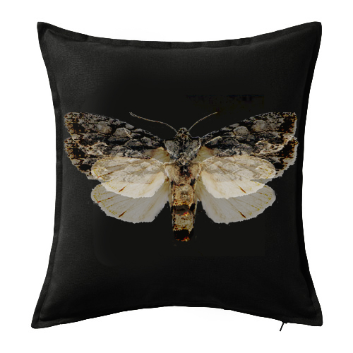 Designový dekorační povlak na polštář Moth