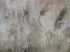 Luxusní vliesová tapeta „Reed in concrete“
