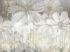 Luxusní vliesová tapeta „White flowers“