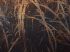 Luxusní vliesová tapeta „Metal grass“