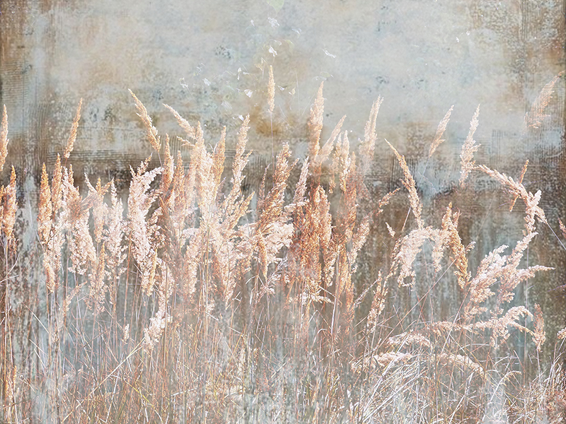 DECENT ART - INSPIRACE DEKOREM